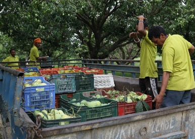 fruits loaded onto a tractor
