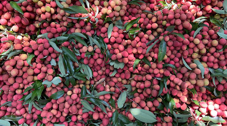 lychees